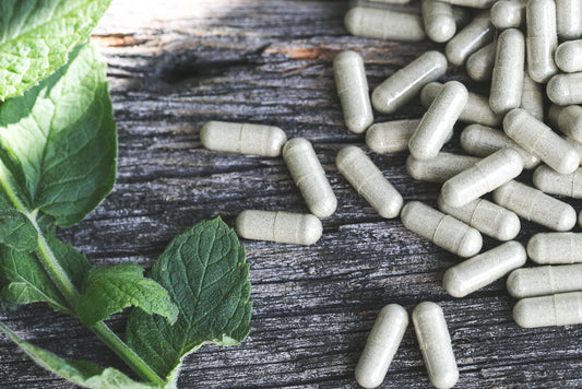 THE IMPORTANCE OF B VITAMINS