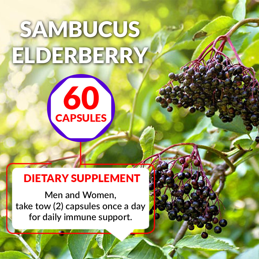 Black Elderberry Capsules, Immune Support - 60 Capsules