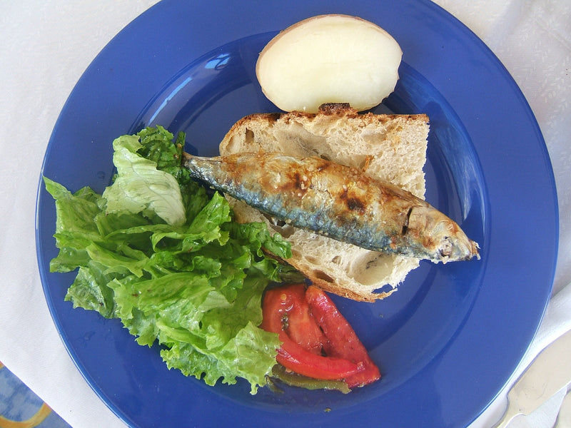 The amazing benefits of eating Sardines!