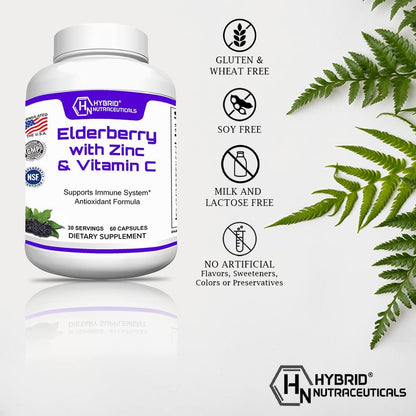 Black Elderberry Capsules, Immune Support - 60 Capsules
